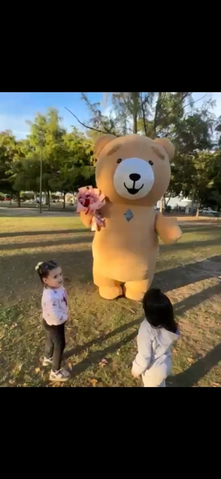 Entrega con oso teddy gigante